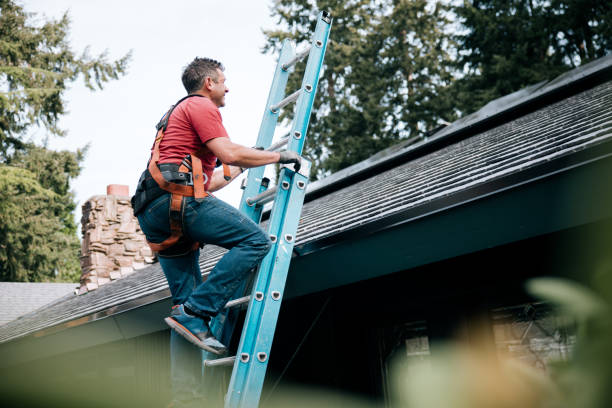 Best Rubber Roofing (EPDM, TPO)  in The Meadows, FL