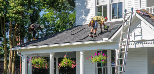Best Storm Damage Roof Repair  in The Meadows, FL